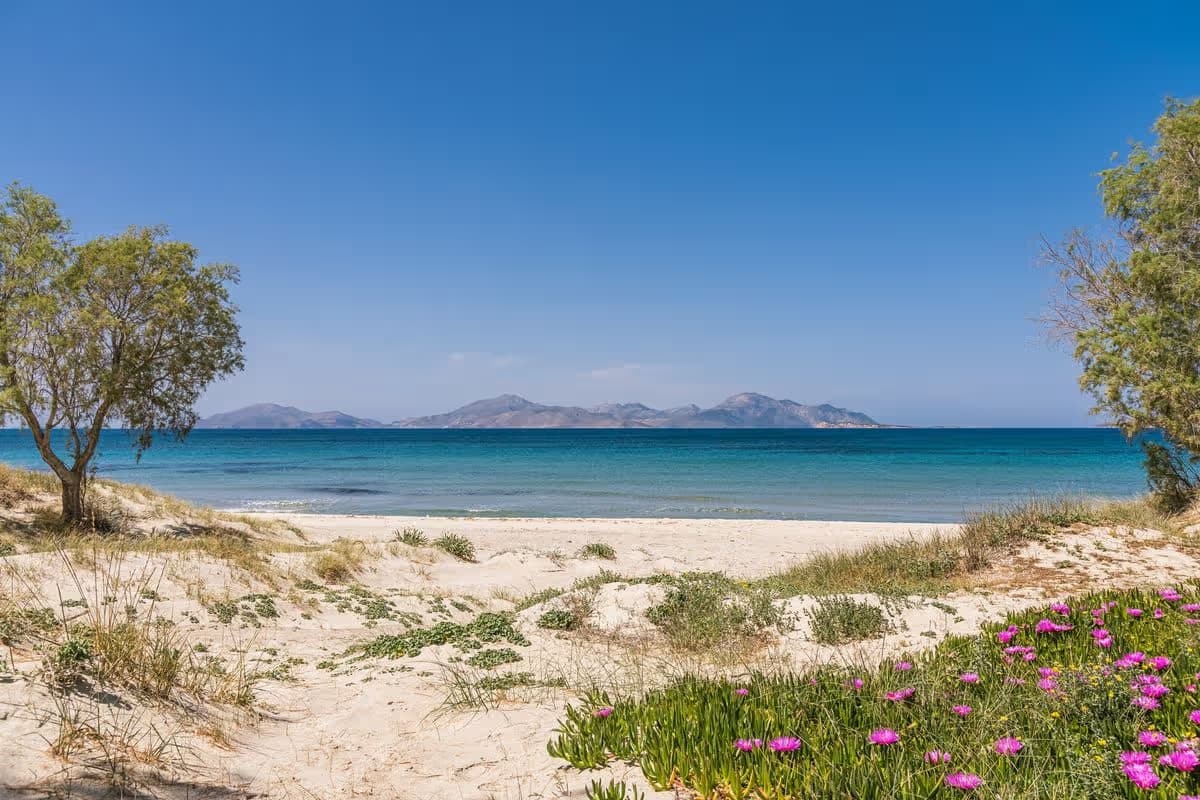 Il “Late Summer” Unplugged: L’Estate Infinita del Mediterraneo