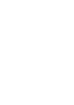 HegoMag