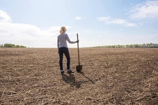 Il caldo che svuota il portafoglio: l’inflazione climatica è la nuova sfida dell’economia